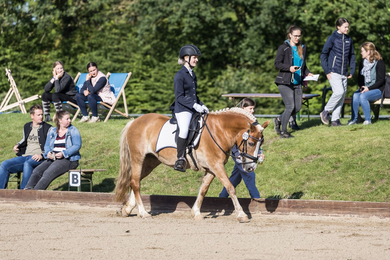 Bild 82 - Pony Akademie Turnier